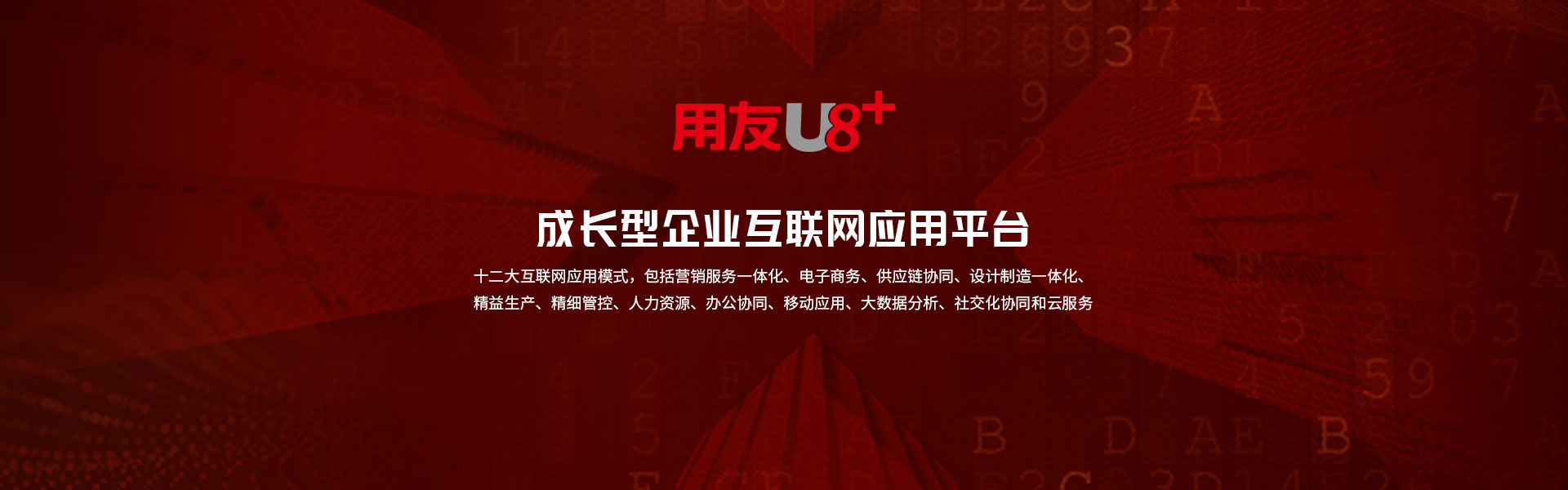 南京夜网